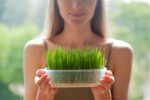 Young woman showing fresh raw wheatgrass seedlings in plastic tray